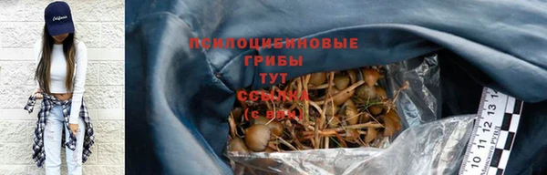 дурь Дмитриев