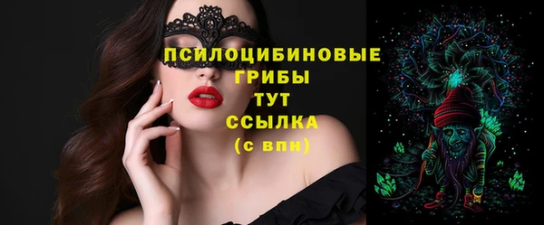 гидра Дмитров