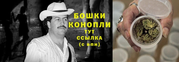 дурь Дмитриев
