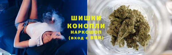 PSILOCYBIN Гусь-Хрустальный