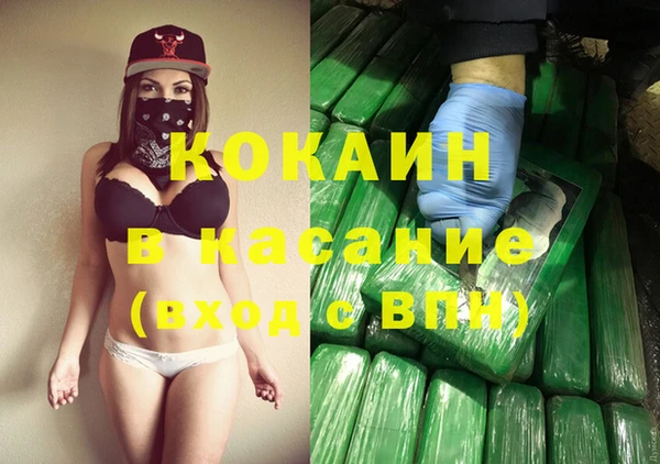 PSILOCYBIN Гусь-Хрустальный