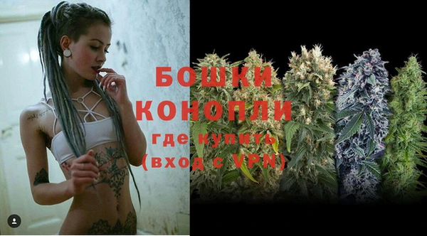 PSILOCYBIN Гусь-Хрустальный