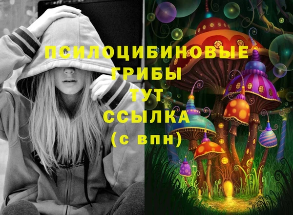 гидра Дмитров