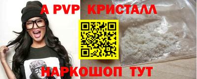 стафф Будённовск