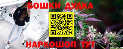 стафф Будённовск