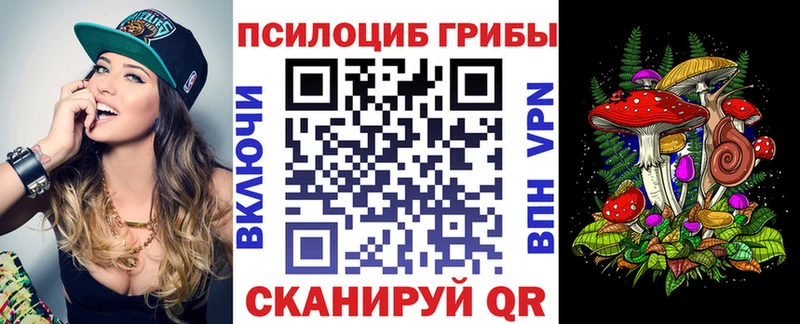 hydra ссылки Звенигород Псилоцибиновые грибы Psilocybine cubensis
