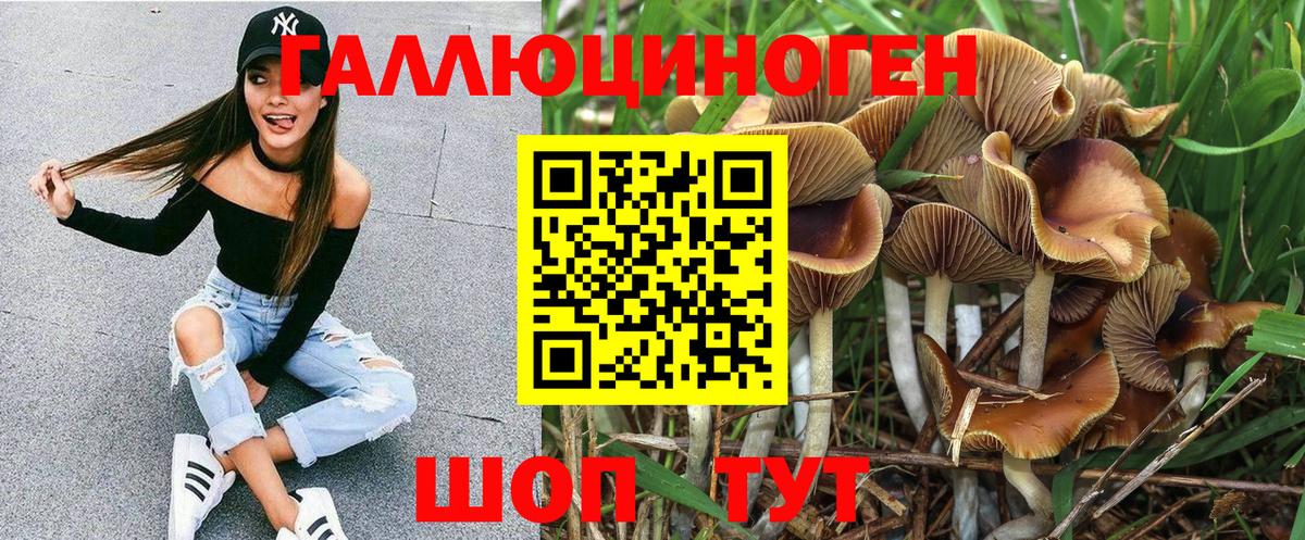 Галлюциногенные грибы Magic Shrooms  купить   Звенигород  Вход с VPN 