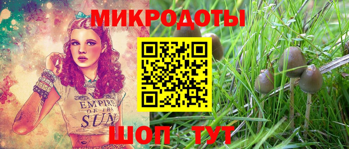 Галлюциногенные грибы мухоморы Звенигород