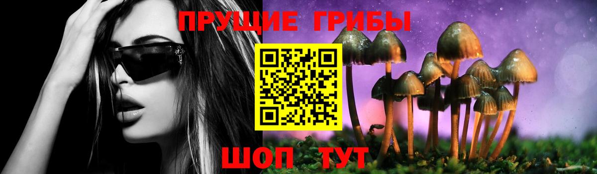 Галлюциногенные грибы MAGIC MUSHROOMS  Звенигород 