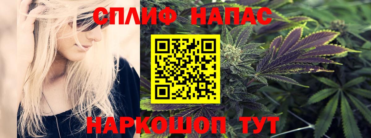 Бошки Шишки VHQ  МАРИХУАНА тримм  Звенигород  Каннабис индика 